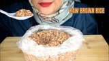 ASMR RAW RICE EATING || RAW BROWN RICE || MAKAN BERAS MERAH || pake sendok plastik ASMR INDONESIA