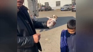 Apa sih anjing Jiba [tutup wajah] [tutup wajah] [tutup wajah]
