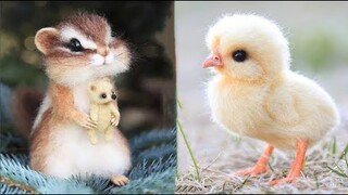 Cute baby animals Videos Compilation cute moment of the animals #11 Cutest Animals 2023