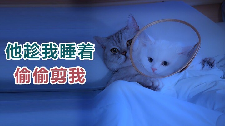 Dalam "Hal-hal tentang pria dan wanita", perkembangan saya agak tertunda...