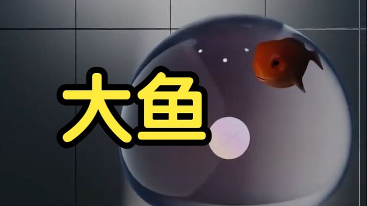 ปลาทองตัวเล็กโชว์ลีลาปลาใหญ่