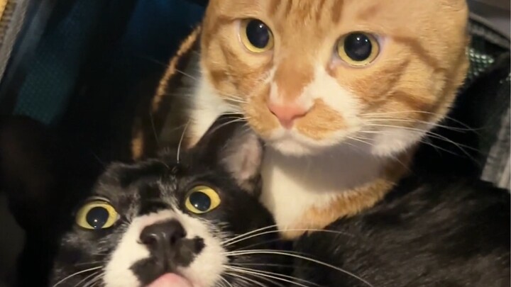 Pulang kampung untuk merayakan Tahun Baru, hehe!