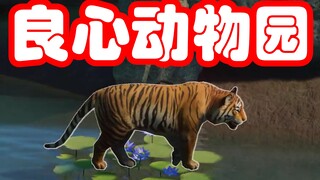 We have tigers in our zoo!!! #3