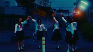 很多条臭掉的鱼｜【在无爱之森呐喊】