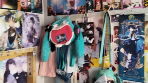 ห้องจัดแสดงสาวบ้านสองมิติในบังกะโลในชนบท