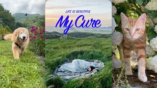 愿你此刻能被治愈❤️‍🩹