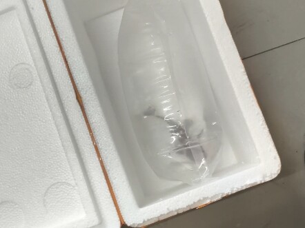 Aggressive Fish Blind Box