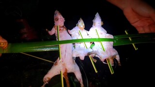 60 NGÀY THỬ THÁCH SỐNG TRONG RỪNG | Tập 12 | 60 NGÀY SINH TỒN NƠI HOANG DÃ | HIEU TV