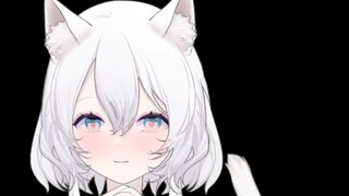【V ใหม่】แมวอียิปต์สั่นแต่ไม่กล้าสั่นเลย