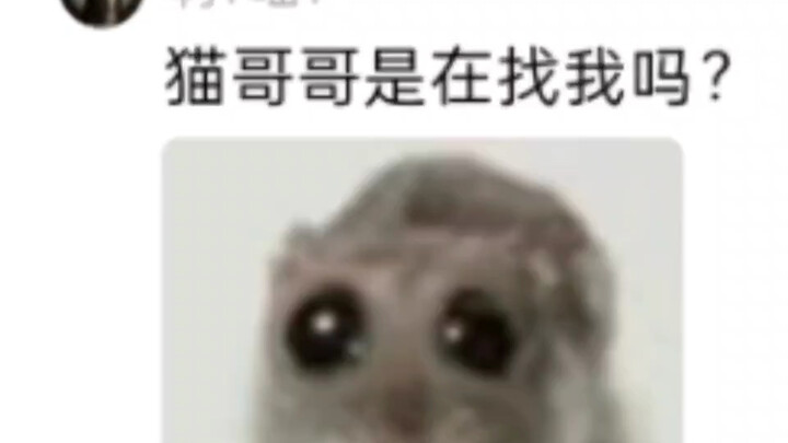 【ks奶猫不是屑】视频已打包，欢迎围观！