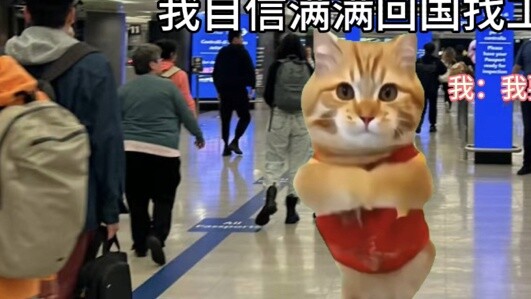 【Meme kucing】Seorang mahasiswa seni Italia dipukuli hingga mati ketika dia kembali ke negaranya...