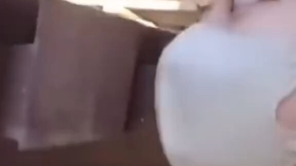 Deer: What are you looking at?