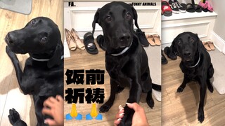 吃饭前一定要先祈祷噢‼️