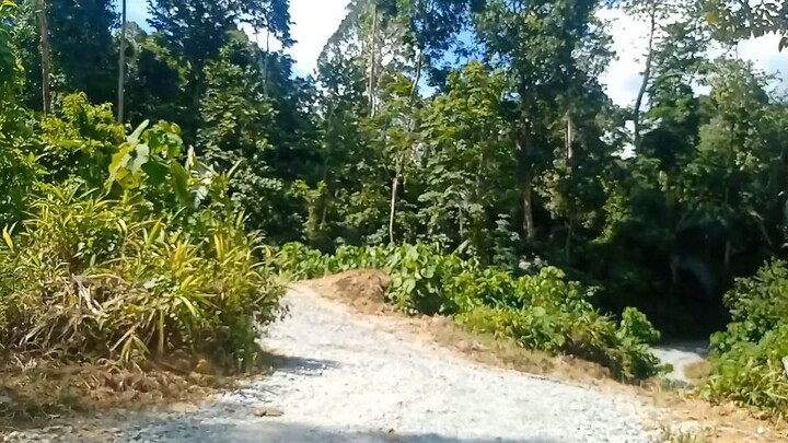 Calms and Chillaxs🌲🌳🌄🍁