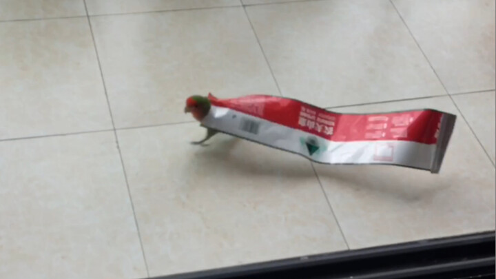 Parrot: I’ve given so much to this family!