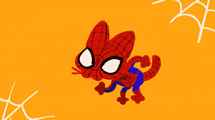 So Annoying Spider Cat
