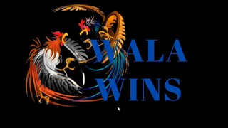 Win - YLH Hennie - Sunday Hackfight  Coliseo De Manila