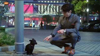 nửa là đường mật nửa là đau thương tập 8