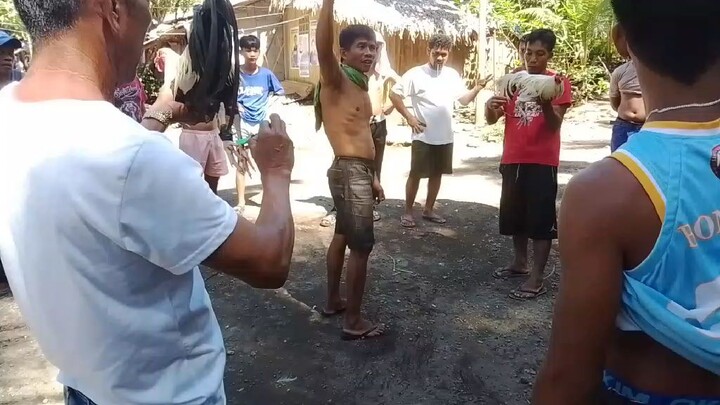 talisay