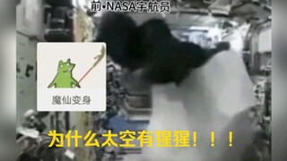 同伴:阿米洛斯！！！