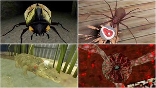 Creepy Pets #7 | The Twins Giant Beetle🐞Granny's Spider🐞Rod's Crocodile🐞Grandpa's Giant Octopus