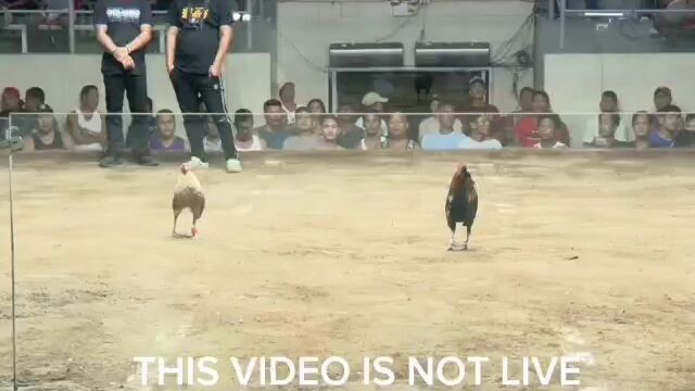 bulik Salamat sa panalo mo sa unang laban mo binigay mo ang kaya mo para i panalo ang laban 2ts win