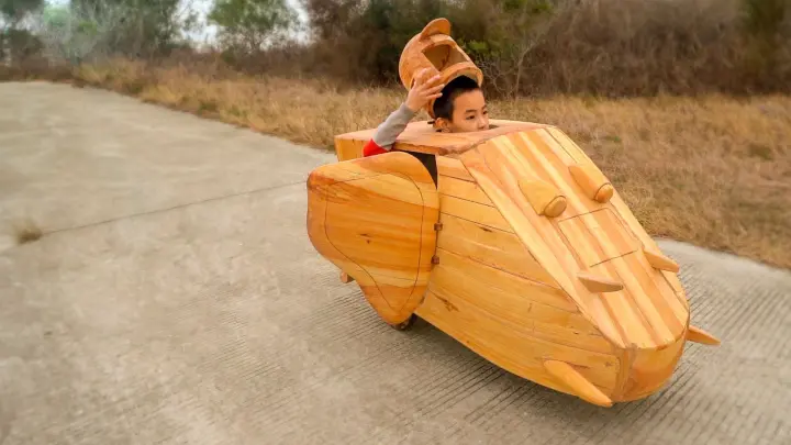 Carpenter makes a beetle chariot