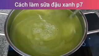 Cách làm sữa đậu xanh p7