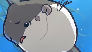 【Hewan kecil yang menarik】Ikan Matahari 🌕🐡 oleh sqftfish