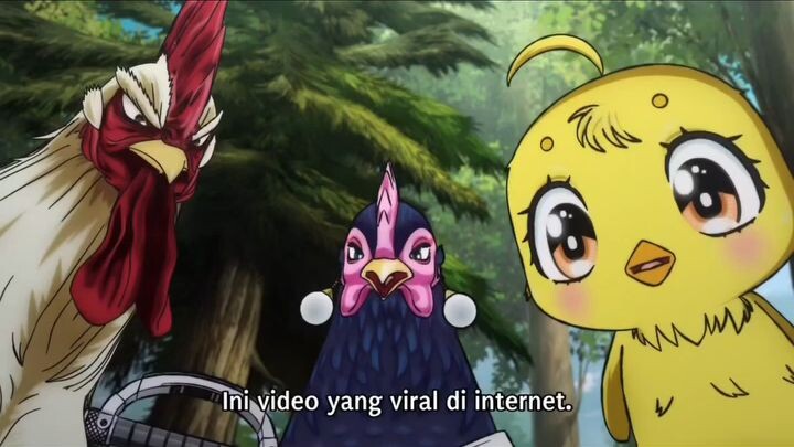tantrum kan