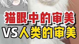 Aesthetics in the eyes of cats VS Aesthetics in the eyes of humans