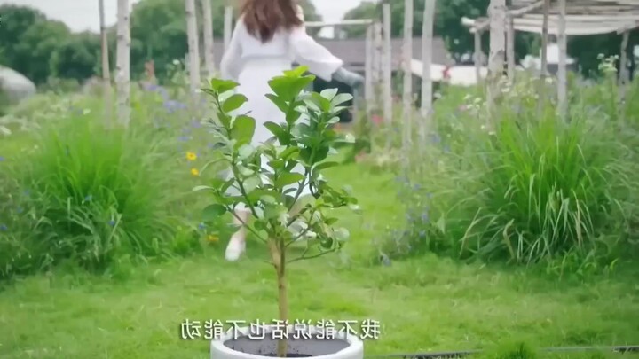 A girl from a Simple Family Suddenly Finds Herself Living with the Idol she Admi