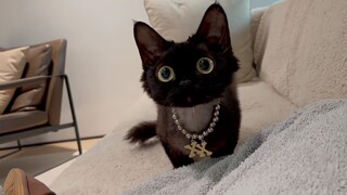 Sepertinya dia tahu dirinya sangat imut...