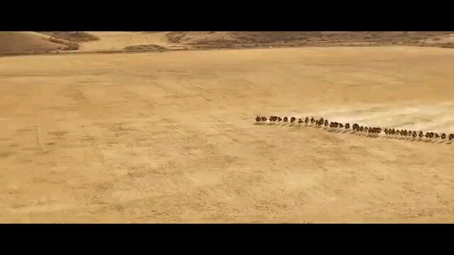 Mahbharat New movie 2026 History movie