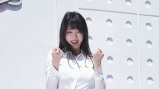 I want to see you is the point~☀️【白鹿】