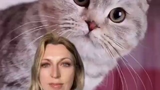 Kebenaran di balik hewan-hewan lucu... Setelah menonton video ini, apakah kamu masih menganggap mere