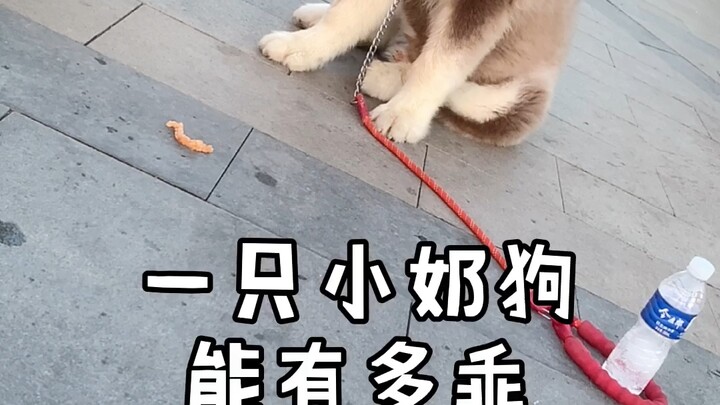 Cảm giác như tôi mà mất thì nó cũng chẳng bao giờ mất 😂