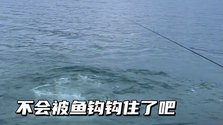 Cá: Anh thật là khiếm nhã quá!