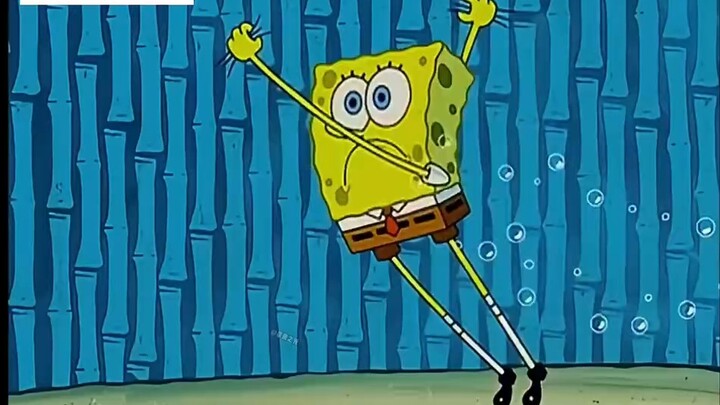 No, where is my Squidward's big house? # SpongeBob