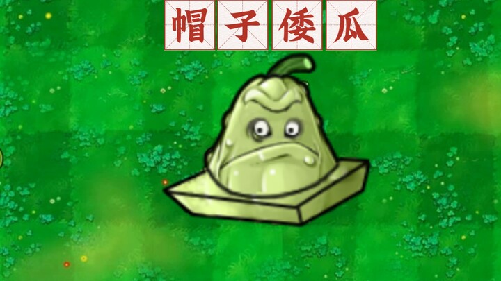 帽子倭瓜，天冷了，出门带个帽子吧