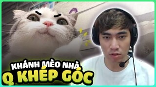 KHÁNH MÈO NHÀ TRÔNG VÔ HẠI NHƯNG MÀ LẠI GÁNH TEAM | LEVI STREAM