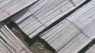 bamboo material