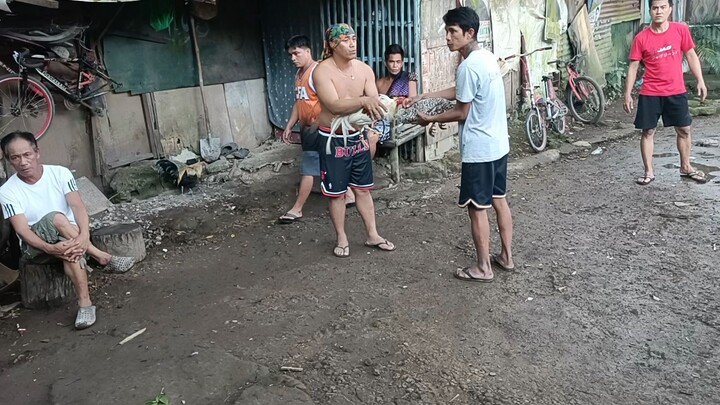 magkapated lumosot din sa wakas kambal tuko.salamat subra ilap mo nga lng.