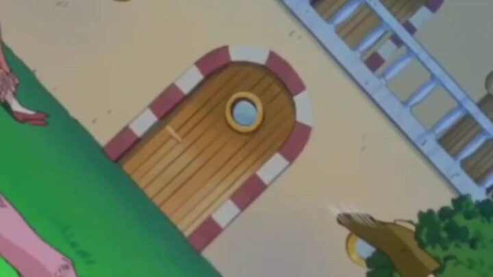 pintu rumah one piece
