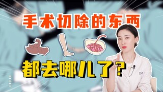 Where does everything that is removed during surgery go?