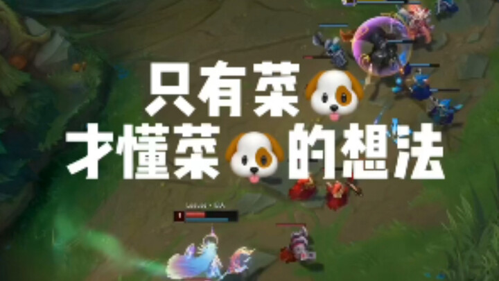 Ngựa tài thường có, nhưng người biết trân trọng thì hiếm.