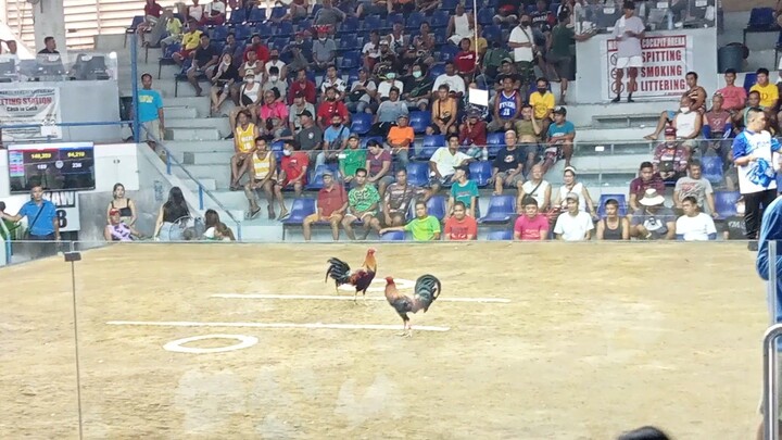 2 HITS ULOTAN @MONTALBAN COCKPIT ARENA (WINNER)