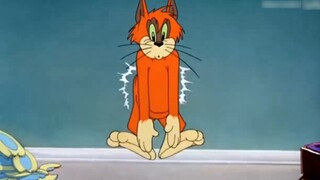 رابوتووم