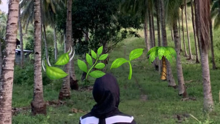 bukid