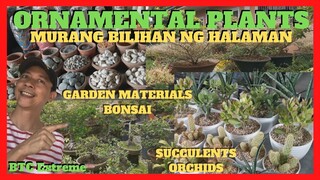 MURANG ORNAMENTAL and INDOOR PLANTS FOR SALE Laguna